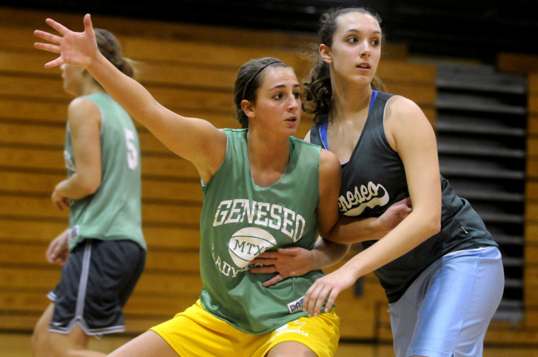 Developing depth key for Geneseo